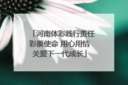 河南体彩践行责任彩票使命 用心用情关爱下一代成长
