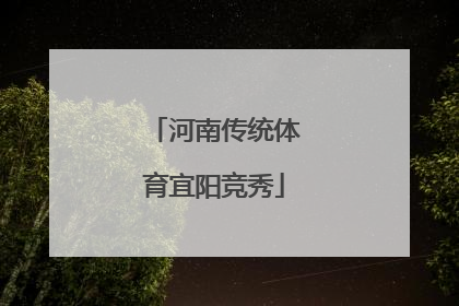 河南传统体育宜阳竞秀