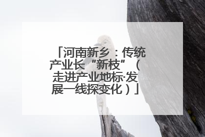 河南新乡：传统产业长“新枝”（走进产业地标·发展一线探变化）