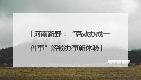 河南新野：“高效办成一件事”解锁办事新体验