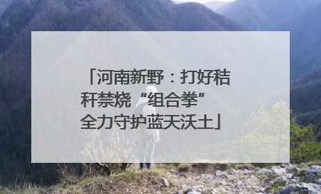 河南新野：打好秸秆禁烧“组合拳” 全力守护蓝天沃土