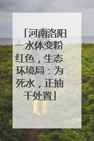 河南洛阳一水体变粉红色，生态环境局：为死水，正抽干处置