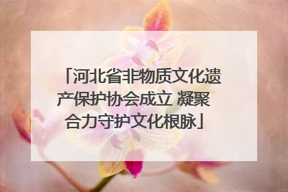 河北省非物质文化遗产保护协会成立 凝聚合力守护文化根脉