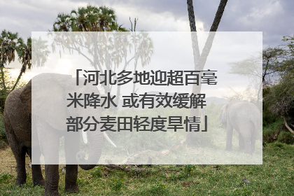 河北多地迎超百毫米降水 或有效缓解部分麦田轻度旱情