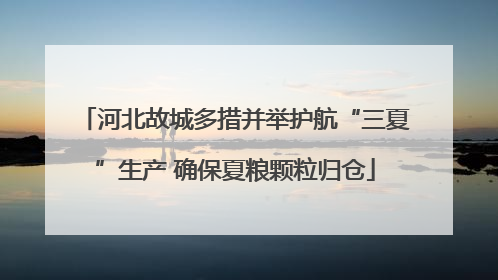 河北故城多措并举护航“三夏”生产 确保夏粮颗粒归仓