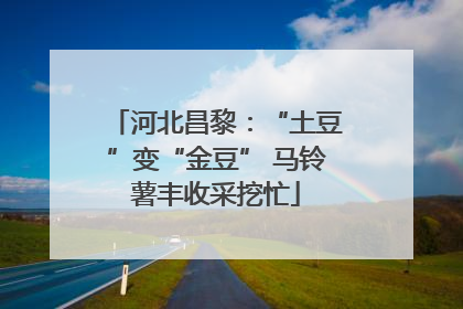 河北昌黎：“土豆”变“金豆” 马铃薯丰收采挖忙