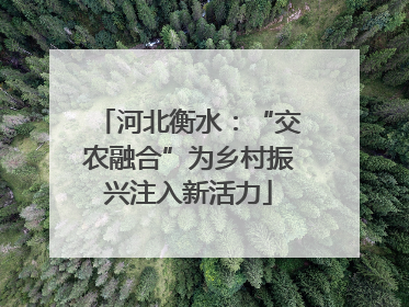 河北衡水：“交农融合”为乡村振兴注入新活力