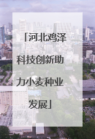 河北鸡泽科技创新助力小麦种业发展