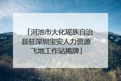 河池市大化瑶族自治县驻深圳宝安人力资源飞地工作站揭牌