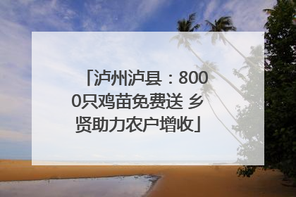 泸州泸县：8000只鸡苗免费送 乡贤助力农户增收