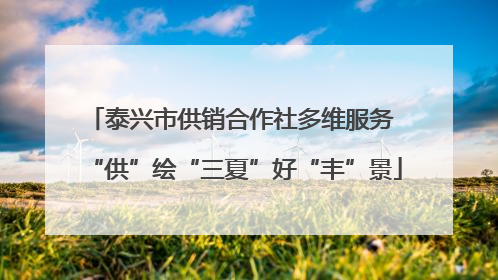 泰兴市供销合作社多维服务 “供”绘“三夏”好“丰”景