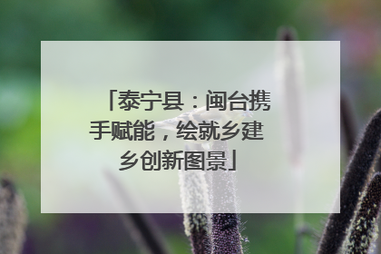 泰宁县：闽台携手赋能，绘就乡建乡创新图景