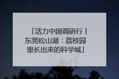 活力中国调研行丨东莞松山湖：荔枝园里长出来的科学城