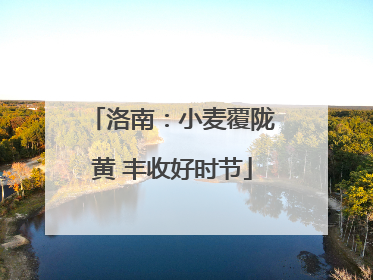 洛南：小麦覆陇黄 丰收好时节