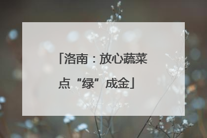 洛南：放心蔬菜点“绿”成金