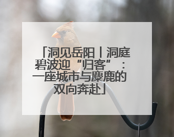 洞见岳阳丨洞庭碧波迎“归客”：一座城市与麋鹿的双向奔赴