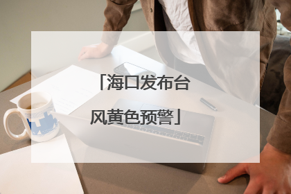 海口发布台风黄色预警