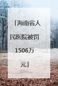 海南省人民医院被罚1506万元