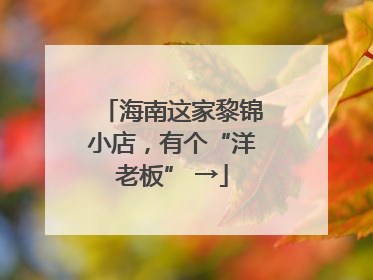 海南这家黎锦小店，有个“洋老板” →