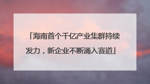 海南首个千亿产业集群持续发力，新企业不断涌入赛道