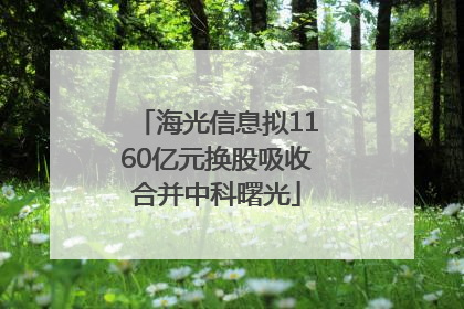 海光信息拟1160亿元换股吸收合并中科曙光