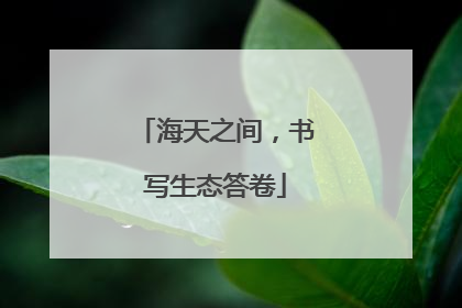 海天之间，书写生态答卷