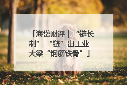 海岱财评｜“链长制” “链”出工业大梁“钢筋铁骨”