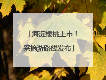 海淀樱桃上市！采摘游路线发布