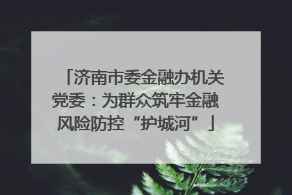 济南市委金融办机关党委：为群众筑牢金融风险防控“护城河”