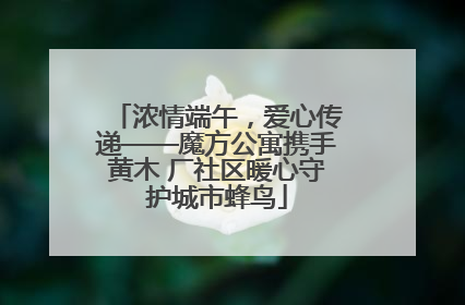浓情端午，爱心传递——魔方公寓携手黄木 厂社区暖心守护城市蜂鸟