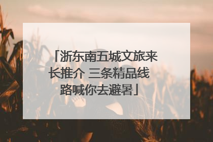 浙东南五城文旅来长推介 三条精品线路喊你去避暑