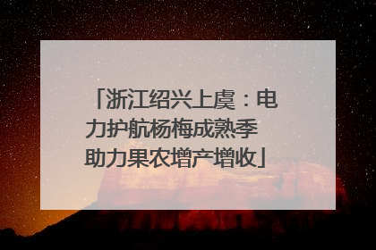 浙江绍兴上虞：电力护航杨梅成熟季 助力果农增产增收