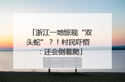 浙江一地惊现“双头蛇”？！村民吓懵：还会倒着爬