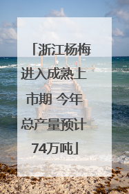 浙江杨梅进入成熟上市期 今年总产量预计74万吨