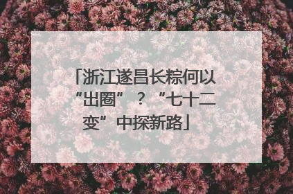 浙江遂昌长粽何以“出圈”？“七十二变”中探新路