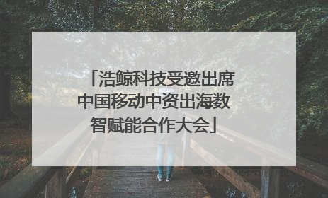 浩鲸科技受邀出席中国移动中资出海数智赋能合作大会
