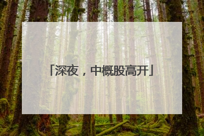 深夜，中概股高开