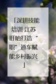 深耕技能培训 江苏盱眙打造“职”通车赋能乡村振兴