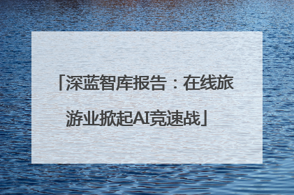 深蓝智库报告：在线旅游业掀起AI竞速战