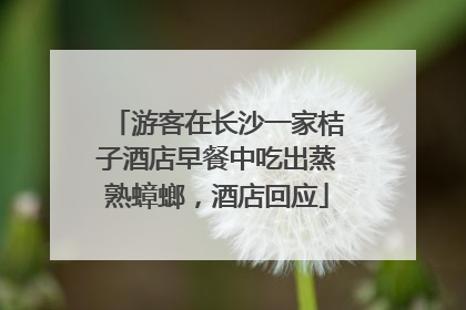 游客在长沙一家桔子酒店早餐中吃出蒸熟蟑螂，酒店回应