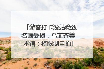 游客打卡没站稳致名画受损，乌菲齐美术馆：将限制自拍