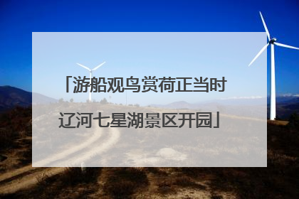游船观鸟赏荷正当时 辽河七星湖景区开园