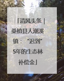 清风头条｜桑植县人潮溪镇：“迟到”5年的生态林补偿金