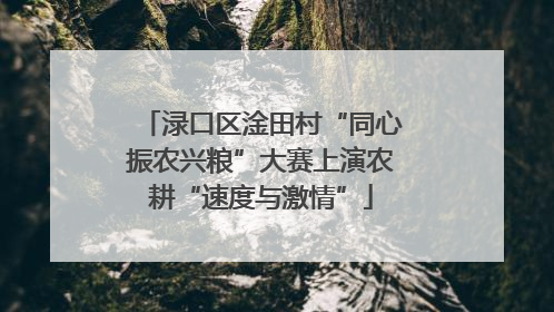 渌口区淦田村“同心振农兴粮”大赛上演农耕“速度与激情”
