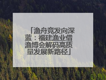 渔舟竞发向深蓝：福建渔业借渔博会解码高质量发展新路径