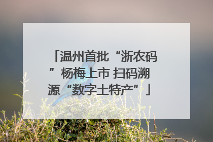 温州首批“浙农码”杨梅上市 扫码溯源“数字土特产”