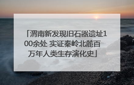 渭南新发现旧石器遗址100余处 实证秦岭北麓百万年人类生存演化史