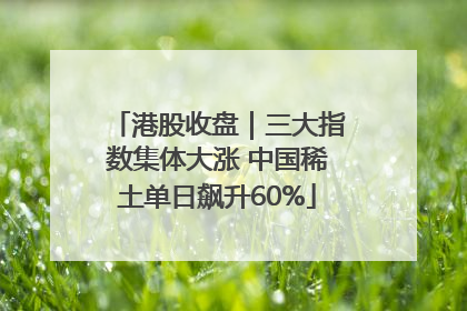 港股收盘｜三大指数集体大涨 中国稀土单日飙升60%
