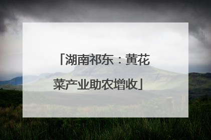 湖南祁东：黄花菜产业助农增收