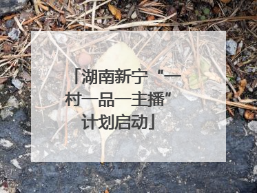 湖南新宁“一村一品一主播”计划启动